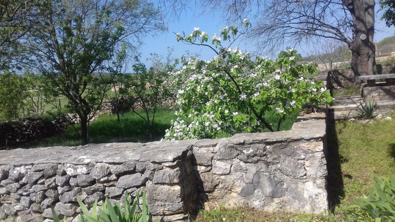 Family Friendly Holiday Home "Ana" Šibenik Eksteriør bilde