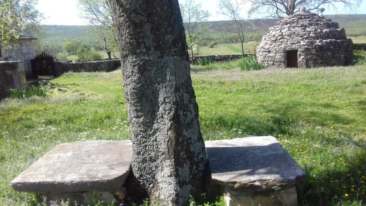 Family Friendly Holiday Home "Ana" Šibenik Eksteriør bilde