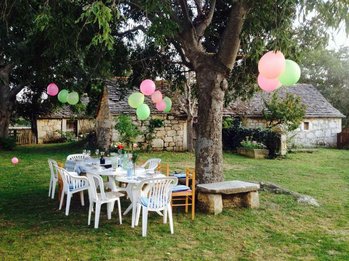 Family Friendly Holiday Home "Ana" Šibenik Eksteriør bilde