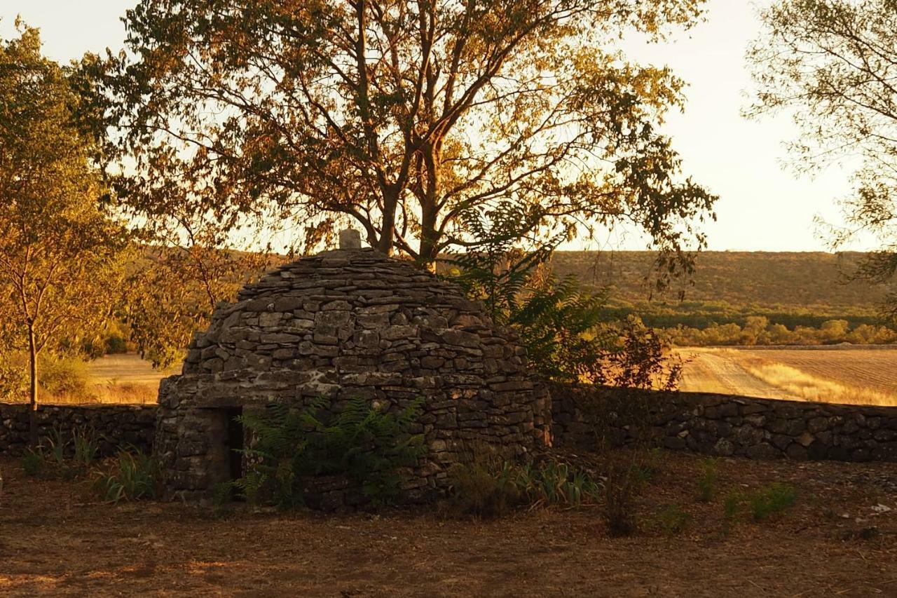 Family Friendly Holiday Home "Ana" Šibenik Eksteriør bilde